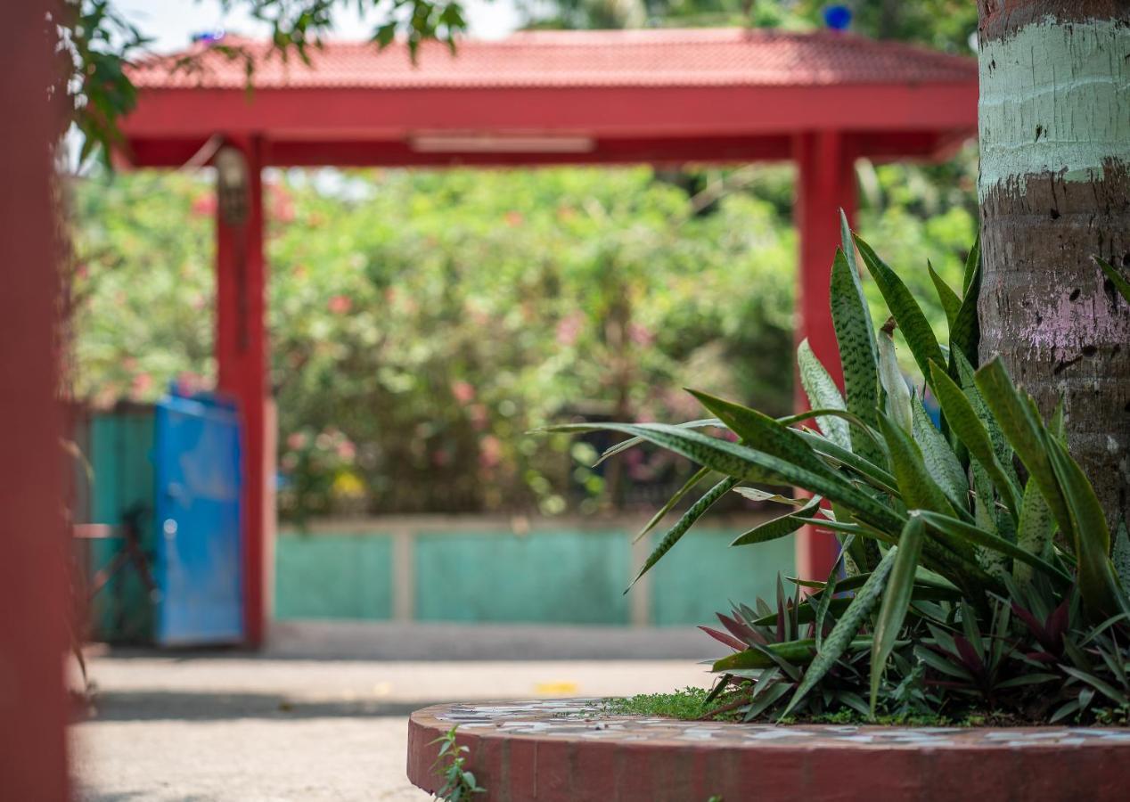 Palm Grove Eco Resort Port Blair Buitenkant foto
