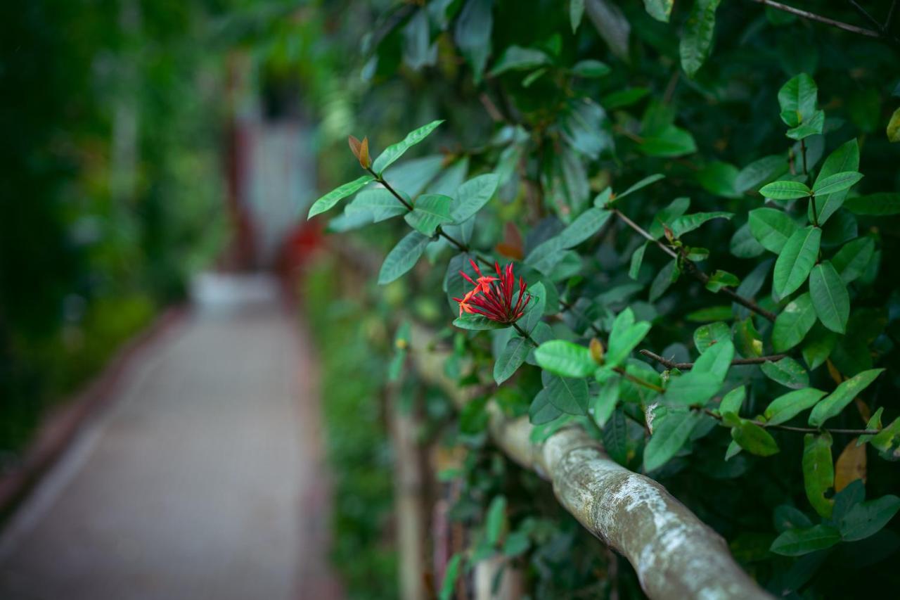 Palm Grove Eco Resort Port Blair Buitenkant foto